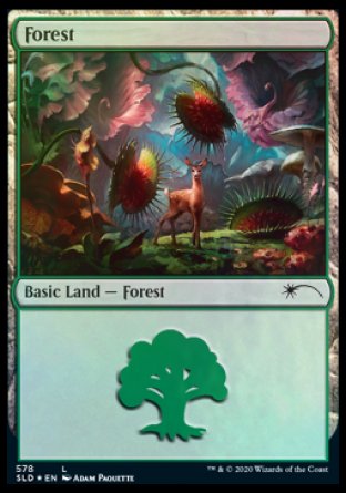 Forest (Predatory) (578) [Secret Lair Drop Promos] | Gamer Loot