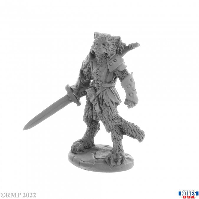 Reaper Bones Miniatures: Catfolk Fighter, Mal | Gamer Loot