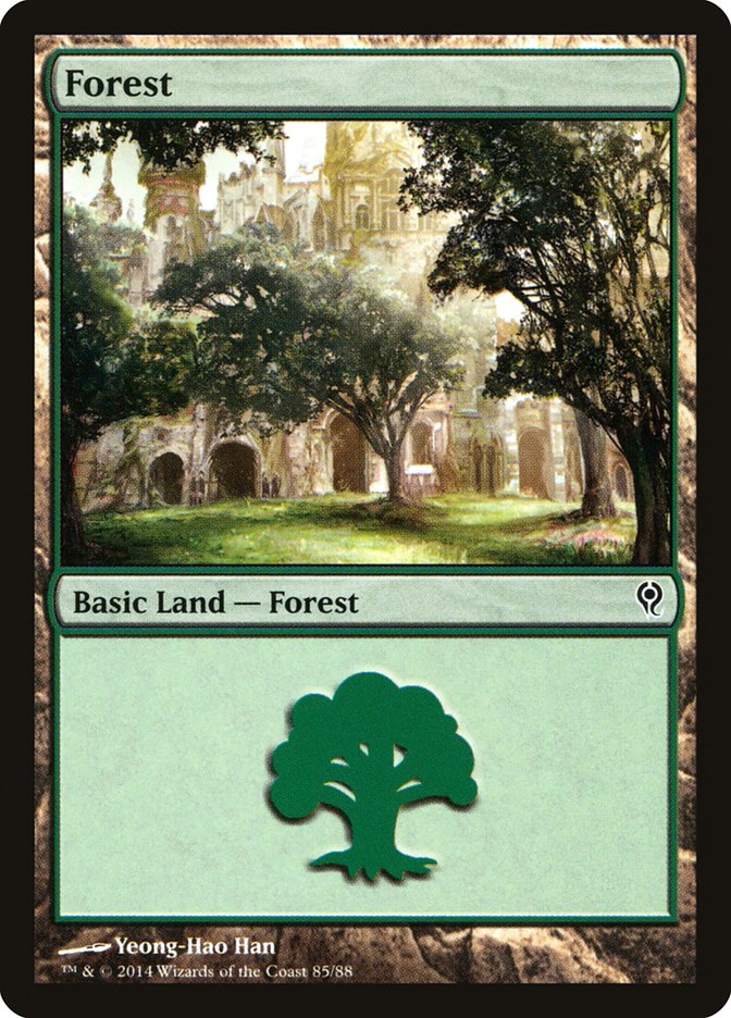 Forest (85) [Duel Decks: Jace vs. Vraska] | Gamer Loot