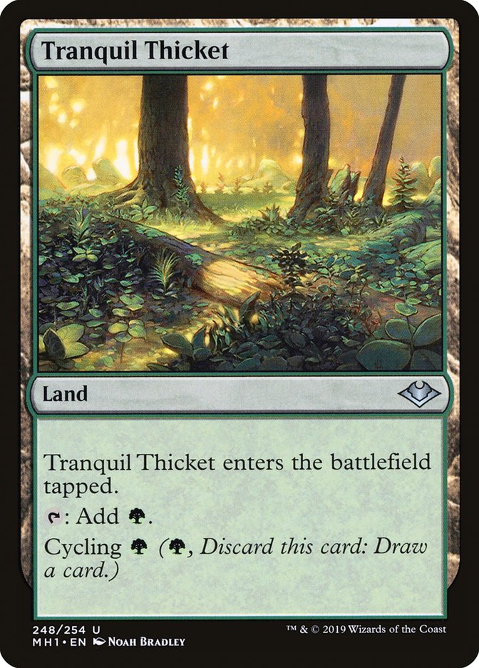 Tranquil Thicket [Modern Horizons] | Gamer Loot