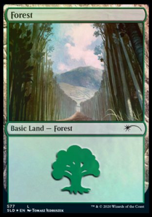 Forest (Walls) (577) [Secret Lair Drop Promos] | Gamer Loot