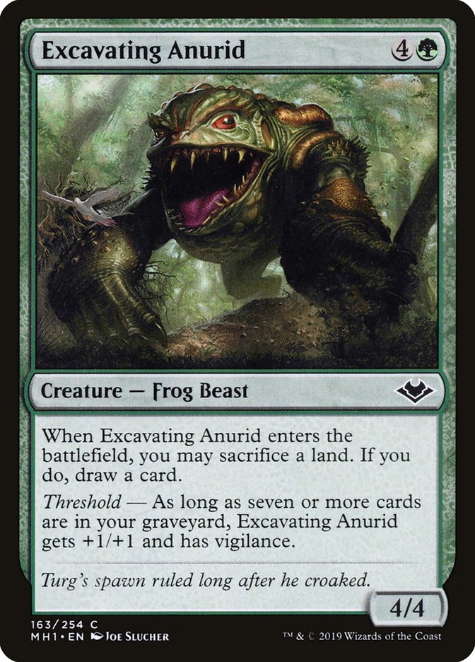 Excavating Anurid [Modern Horizons] | Gamer Loot