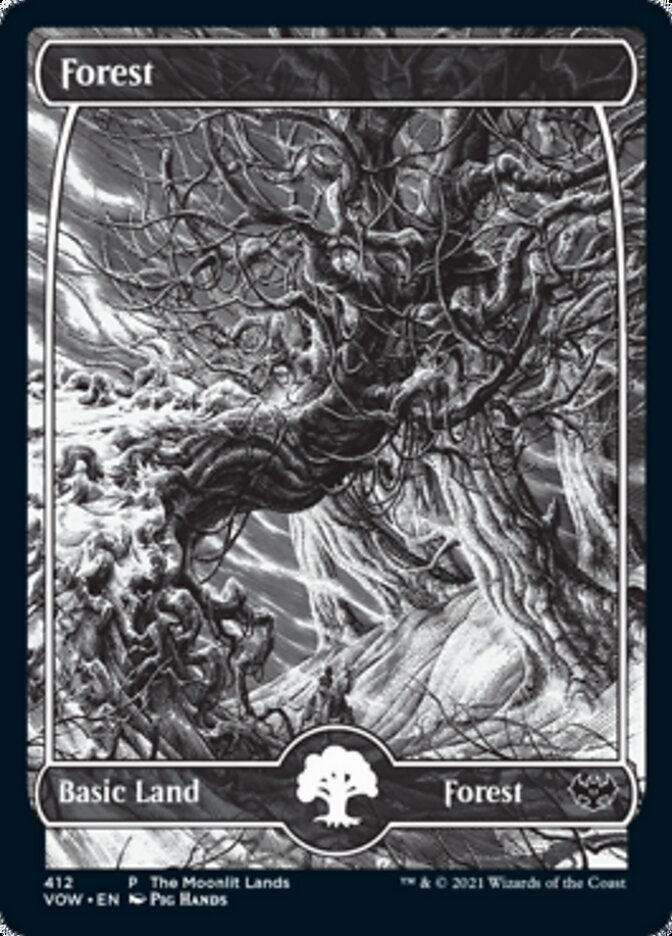 Forest (The Moonlit Lands) (Foil Etched) [Innistrad: Crimson Vow Promos] | Gamer Loot