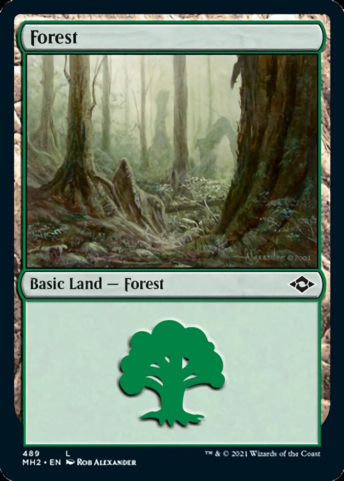 Forest (489) (Foil Etched) [Modern Horizons 2] | Gamer Loot