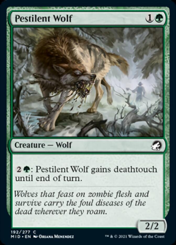 Pestilent Wolf [Innistrad: Midnight Hunt] | Gamer Loot