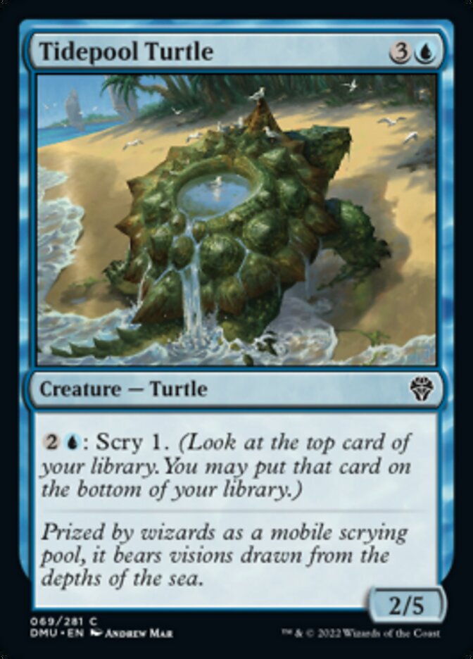 Tidepool Turtle [Dominaria United] | Gamer Loot