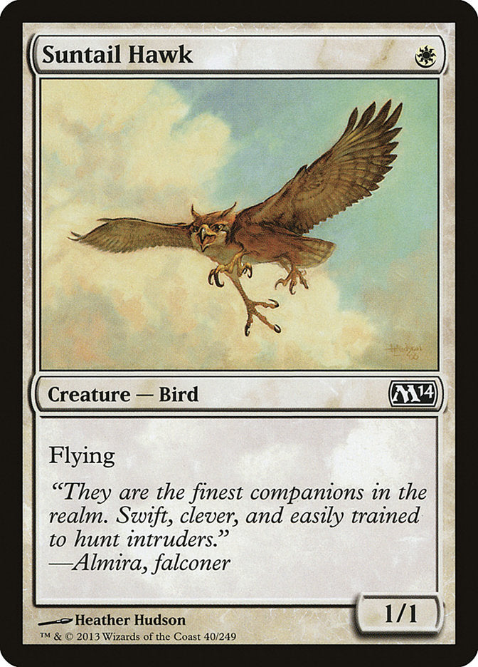Suntail Hawk [Magic 2014] | Gamer Loot
