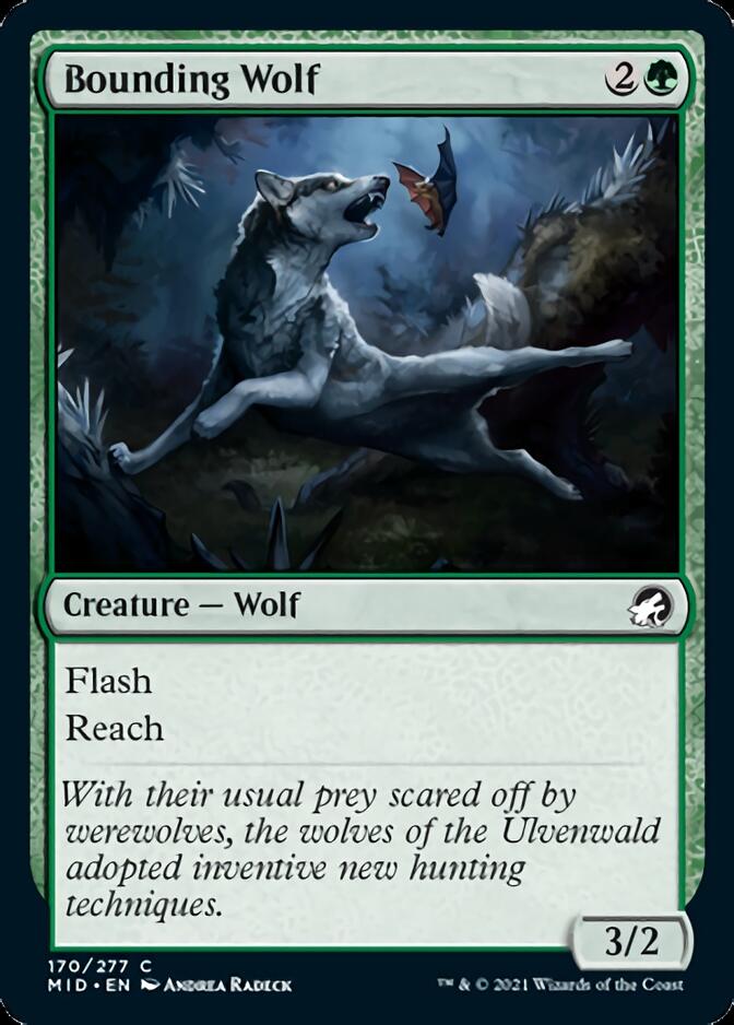 Bounding Wolf [Innistrad: Midnight Hunt] | Gamer Loot