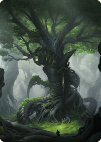 Forest Art Card [The Brothers' War Art Series] | Gamer Loot