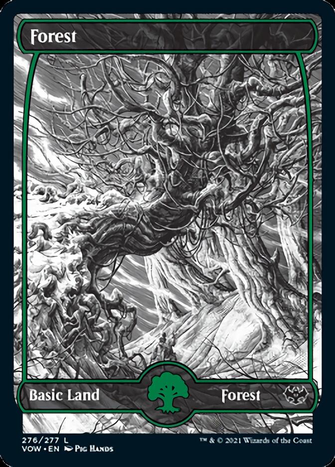 Forest (276) [Innistrad: Crimson Vow] | Gamer Loot