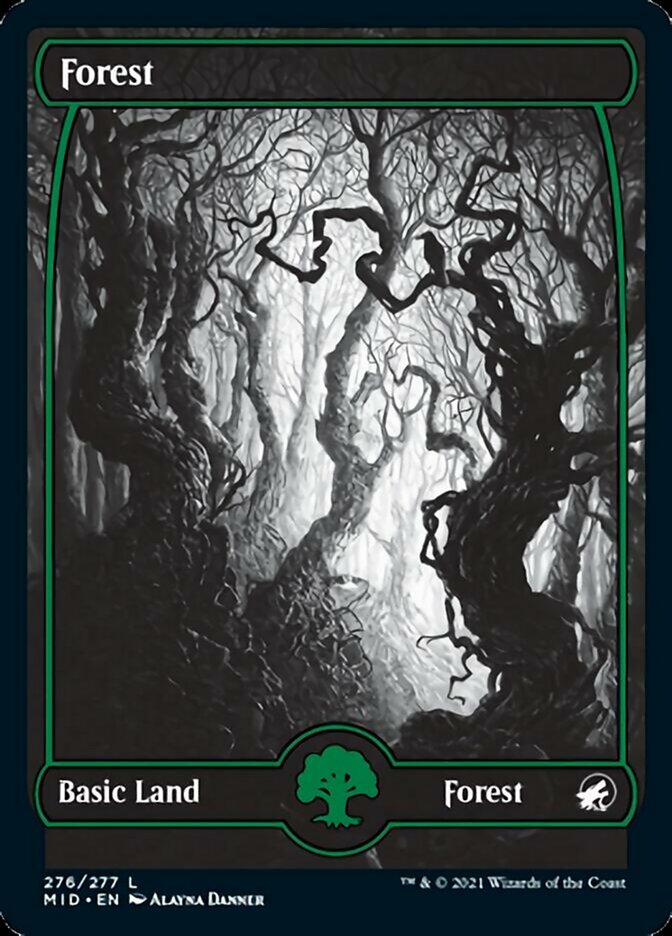 Forest (276) [Innistrad: Midnight Hunt] | Gamer Loot