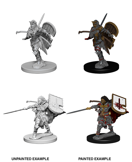 Pathfinder Deep Cuts Unpainted Minis: Human Female Paladin | Gamer Loot