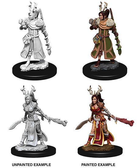 D&D Nolzur's Marvelous Miniatures: Human Druid | Gamer Loot