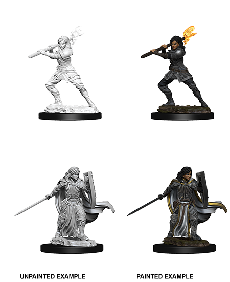 D&D Nolzur's Marvelous Miniatures: Human Paladin | Gamer Loot