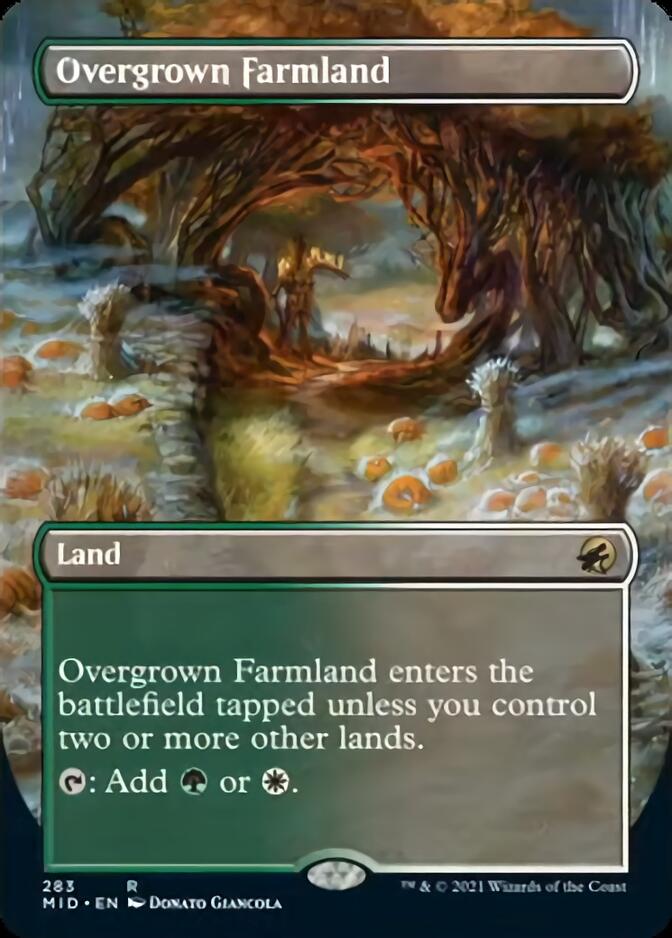 Overgrown Farmland (Borderless) [Innistrad: Midnight Hunt] | Gamer Loot