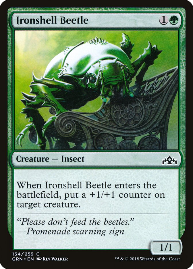 Ironshell Beetle [Guilds of Ravnica] | Gamer Loot