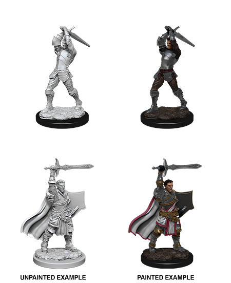 D&D Nolzur's Marvelous Miniatures: Human Paladin | Gamer Loot