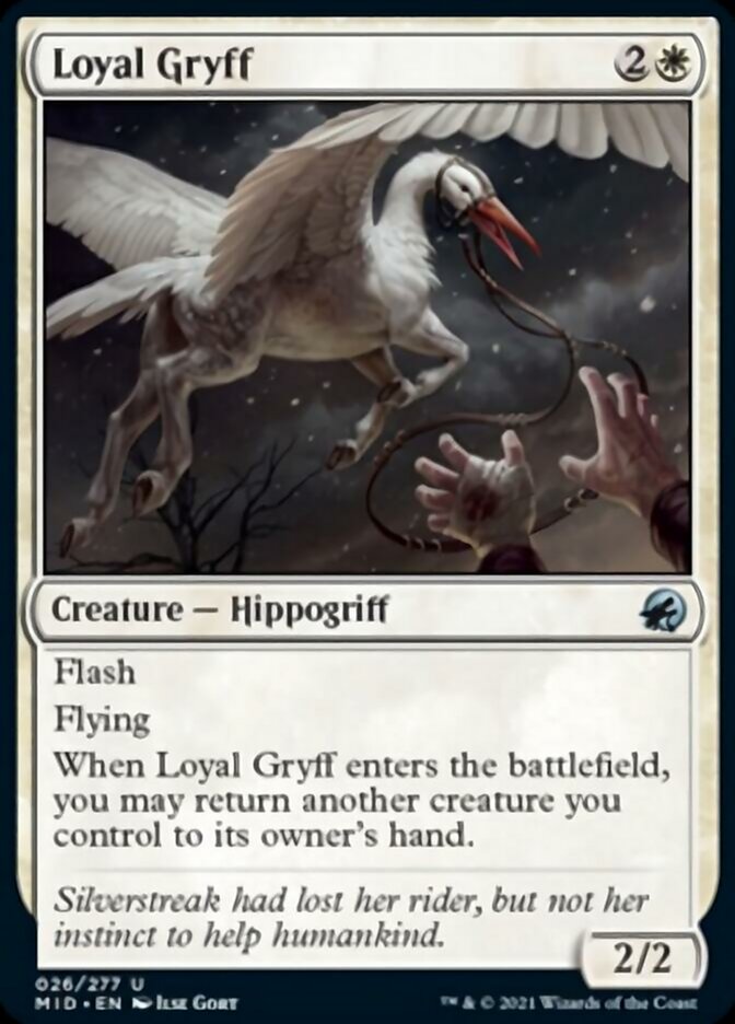 Loyal Gryff [Innistrad: Midnight Hunt] | Gamer Loot