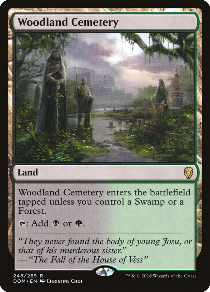 Woodland Cemetery [Dominaria] | Gamer Loot