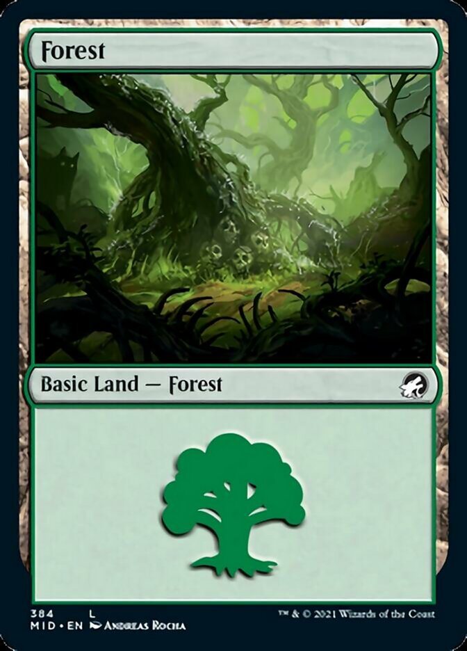 Forest (384) [Innistrad: Midnight Hunt] | Gamer Loot