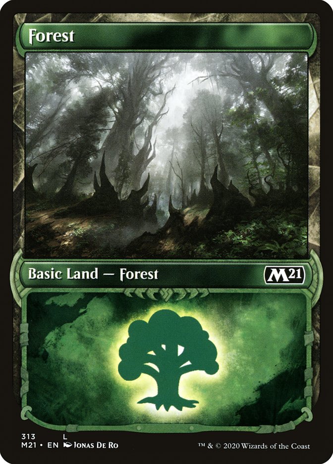 Forest (313) (Showcase) [Core Set 2021] | Gamer Loot