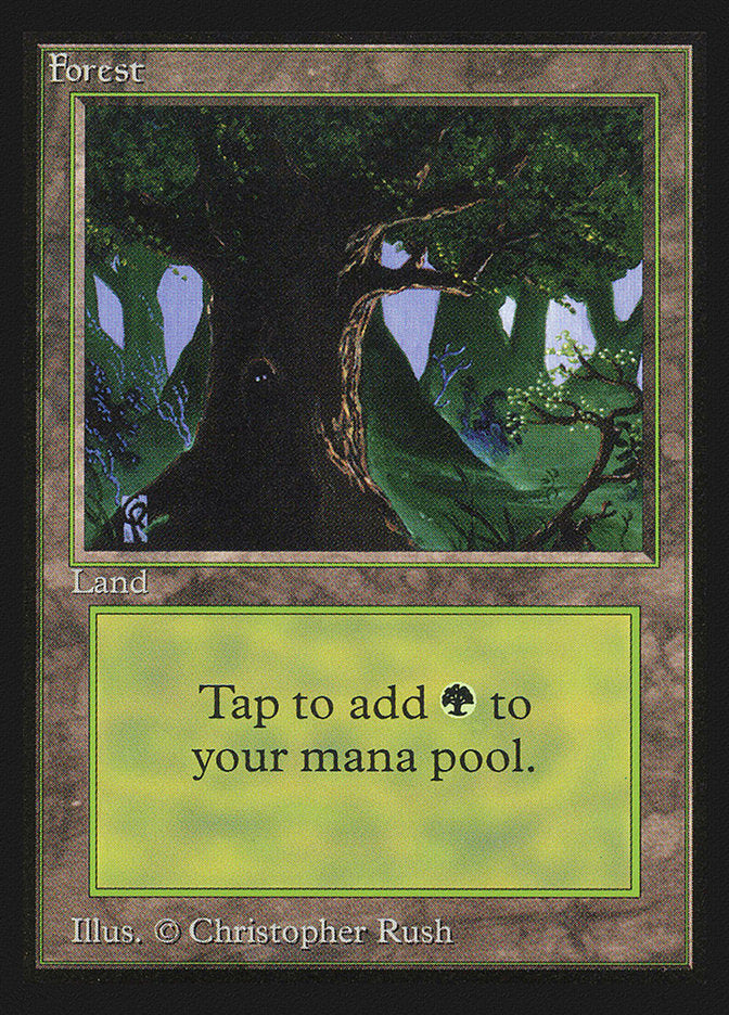 Forest (302) [International Collectors’ Edition] | Gamer Loot