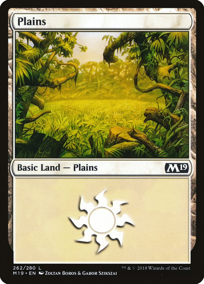 Plains (262) [Core Set 2019] | Gamer Loot