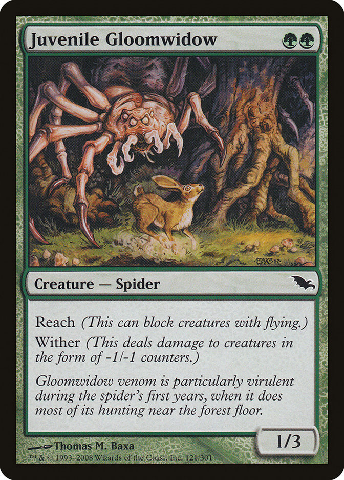 Juvenile Gloomwidow [Shadowmoor] | Gamer Loot
