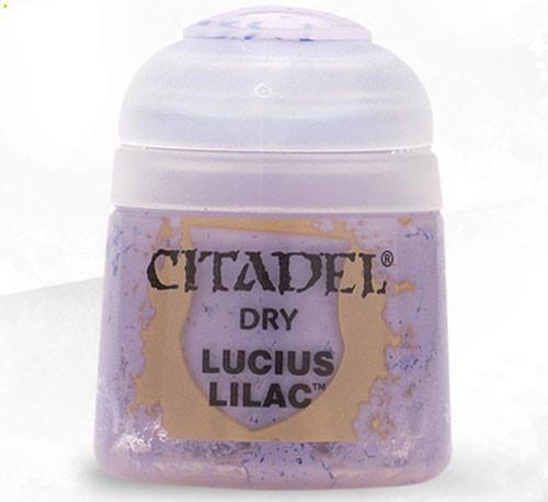 Citadel Dry Paint | Gamer Loot