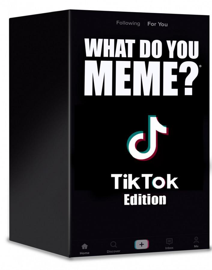 What Do You Meme? TikTok Meme Edition | Gamer Loot