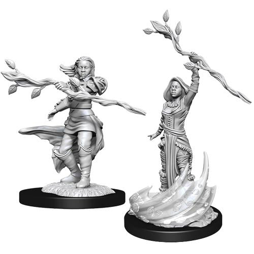 D&D Nolzur's Marvelous Miniatures : Human Druid Female | Gamer Loot